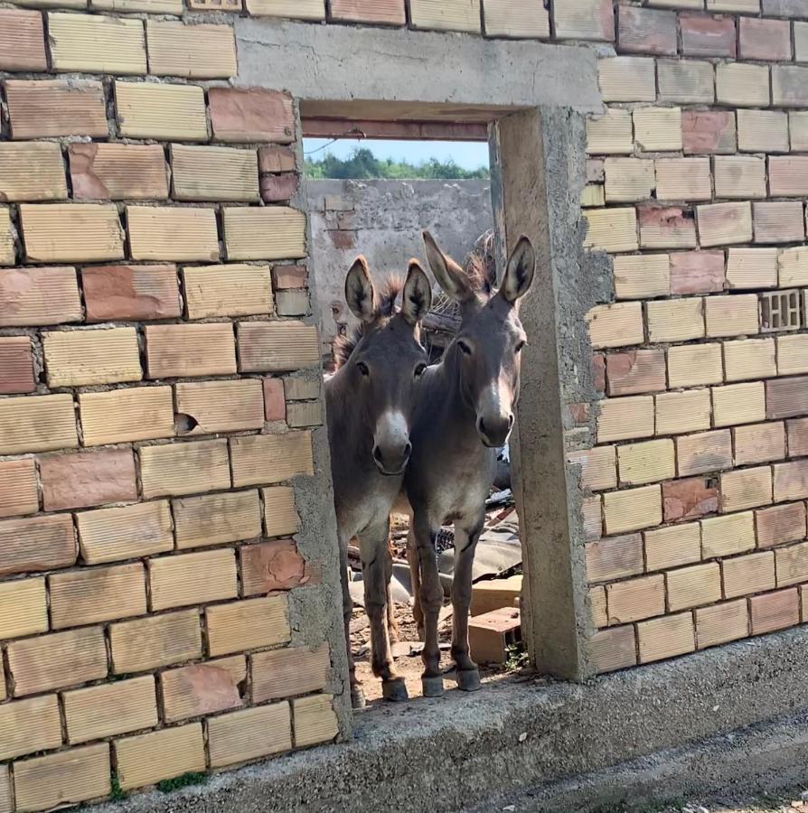 Guesthouse Gospodi Cerovlje Dış mekan fotoğraf